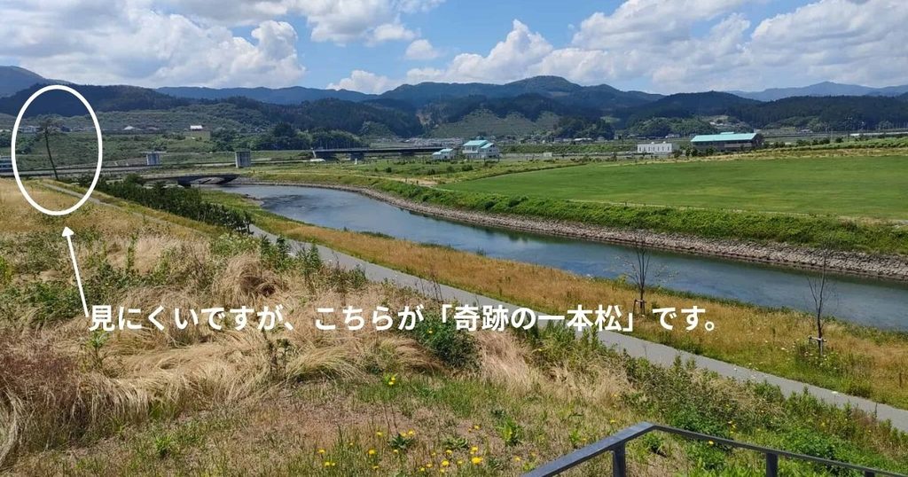 東日本大震災
高田松原津波復興記念公園
東日本大震災津波伝承館いわて津波メモリアル
奇跡の一本松